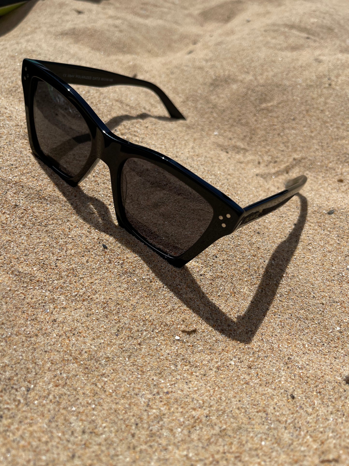 XENA Sunglasses (3 colours)